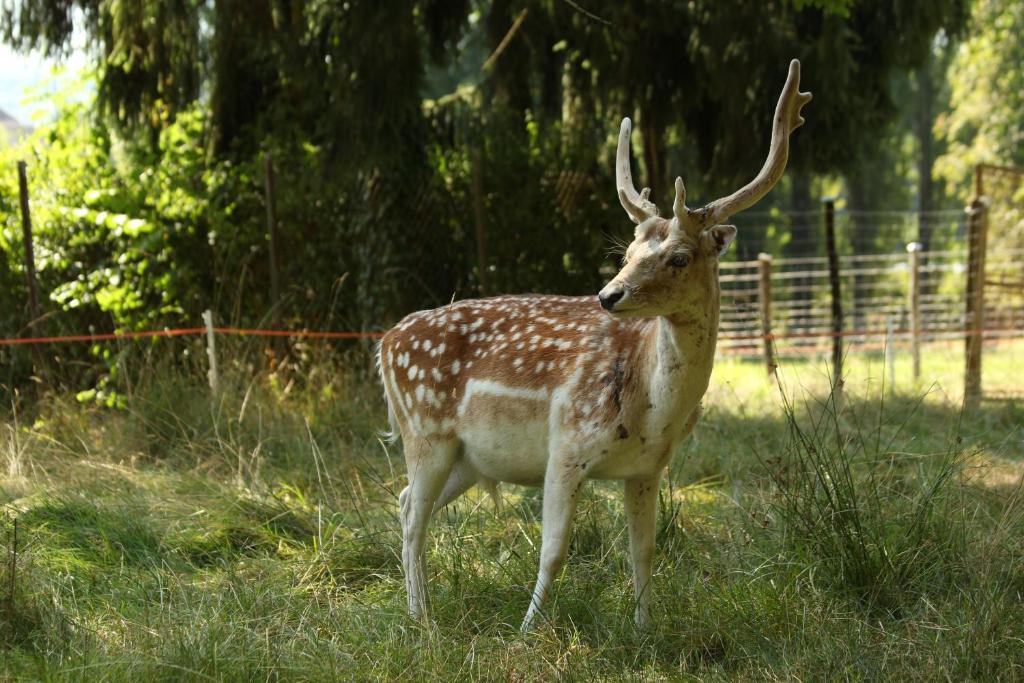 Chambres D'Hotes La Corne Aux Vaches Frétigney-et-Velloreille Εξωτερικό φωτογραφία